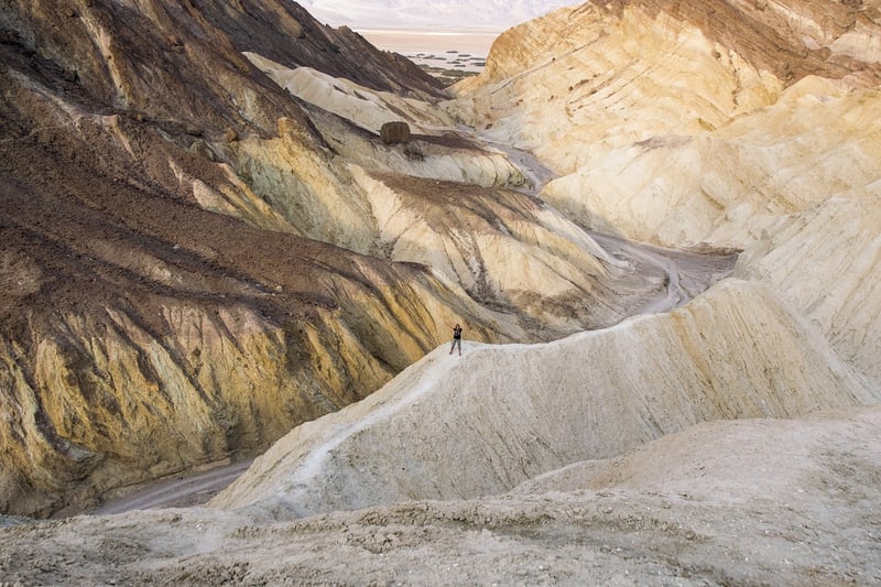 Desert Landscape